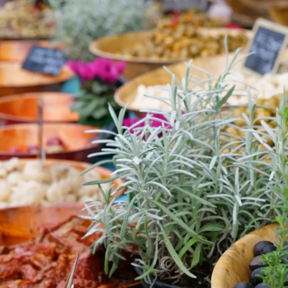 Découvrez Voiron à pied sur une journée