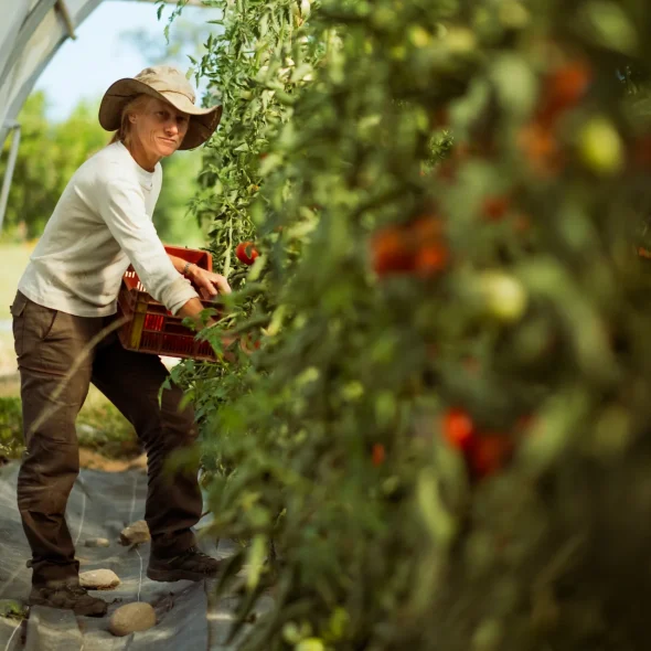 Portraits de producteurs et artisans