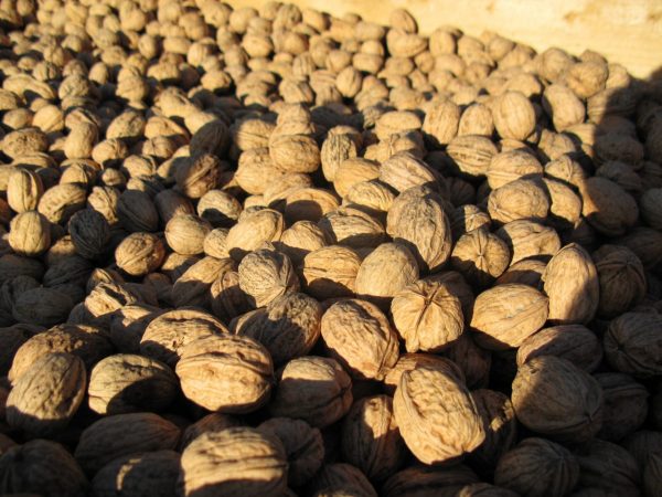 Terroir et savoir-faire locaux