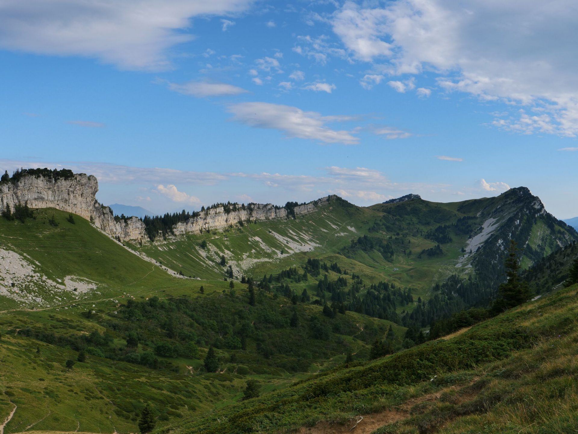 Landschaft Chartreuse Grande Sure Berggrün
