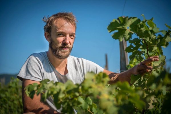 Vente de vin au Domaine Les Alpins