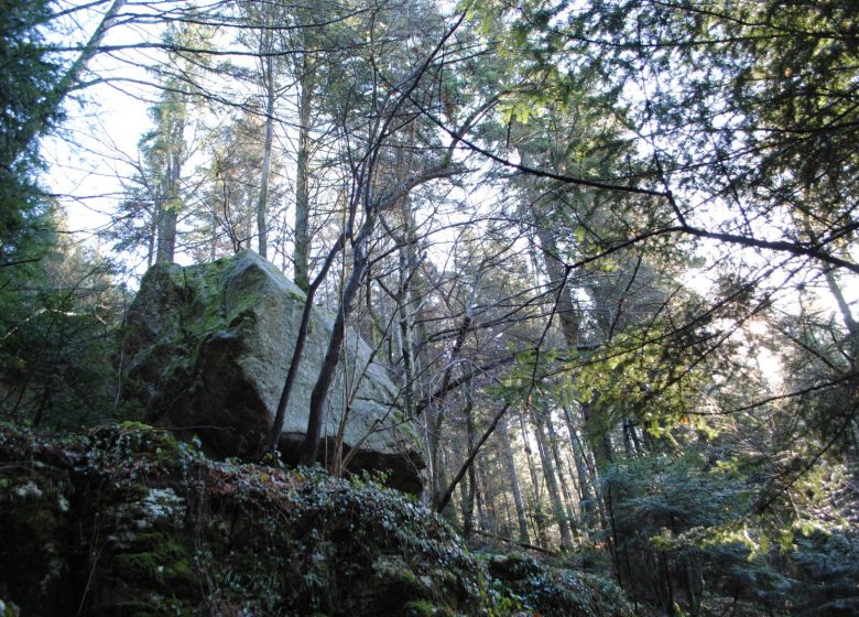 Wandern: Der alte Schwarzwald der Kapelle von Merlas