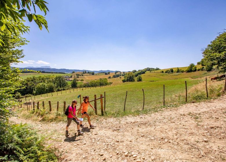 Via Sancti Martini en Isère