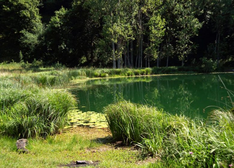 Plans d’eau sauvages du Voironnais