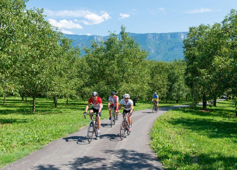 Circuit 1 : De Tullins aux rives de l’Isère