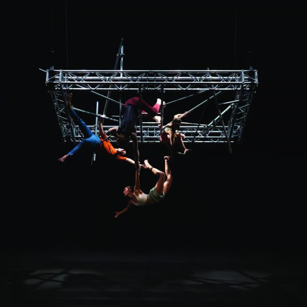 Spectacle de danse : Complex-Us