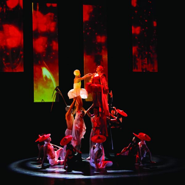 Alice de la Compagnie B.DANCE