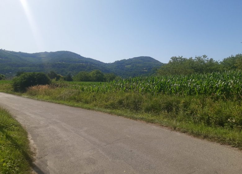Circuit 1 : De Tullins aux rives de l’Isère