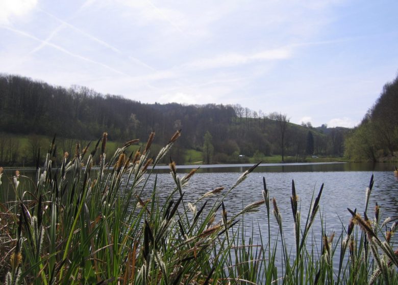 The ponds of Thivoley