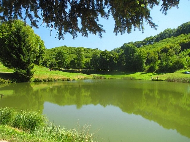 The ponds of Thivoley