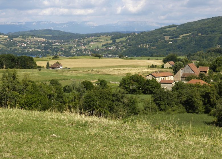 Hiking: On the trail of the Carthusians