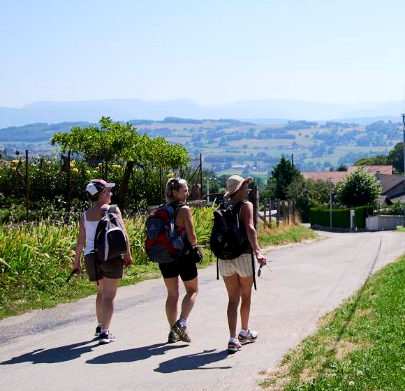 Farmer hikes: Le Pin-Chirens stage