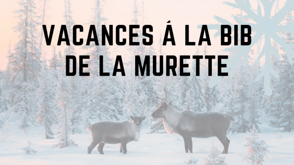 Lecture : Les animaux en hiver