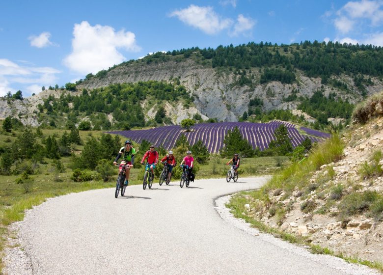 Les P’tites Routes Du Soleil ®