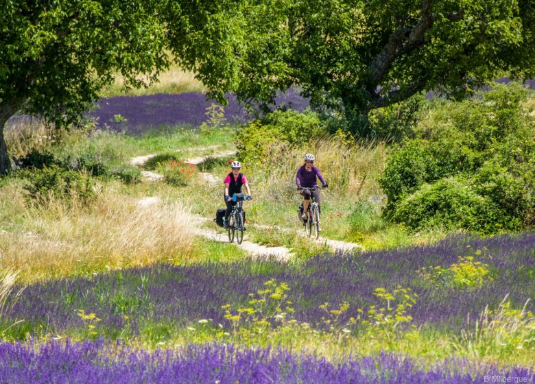 Les P’tites Routes Du Soleil ®