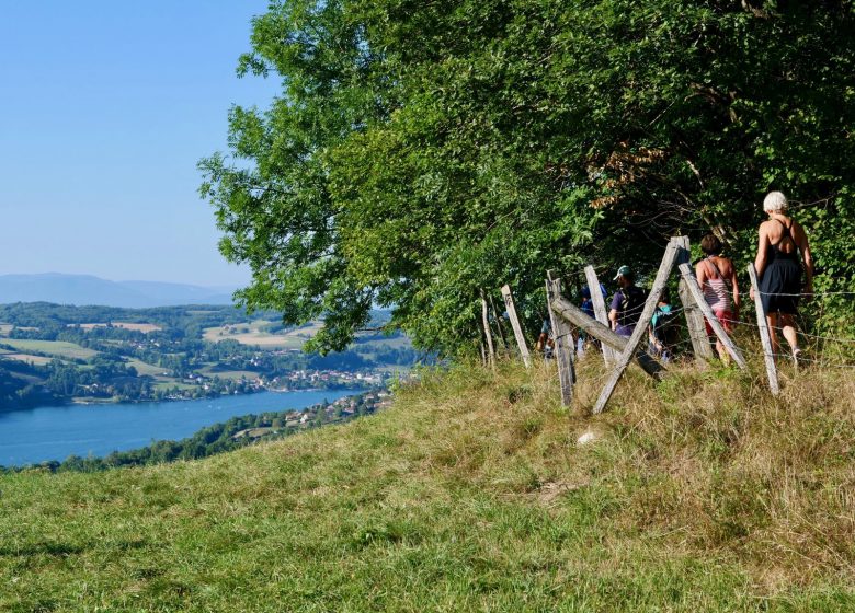 Hiking: La Croix des Cochettes, a panorama of Lake Paladru