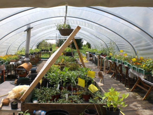Marché aux Nouveaux Jardins de la solidarité