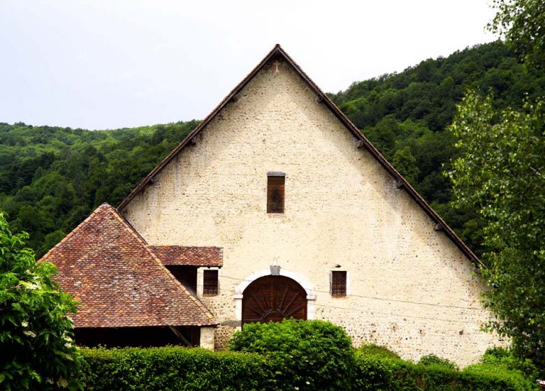 Hiking: On the trail of the Carthusians