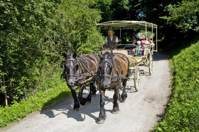 Langot farm - horse-drawn carriage