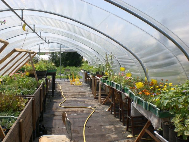 Interior view of the flower greenhouse