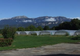 Vente de légumes de saison, oeufs et noix bio aux Jardins du Coteau