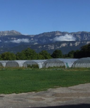 Vente de légumes de saison, oeufs et noix bio aux Jardins du Coteau