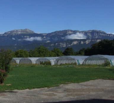Vente de légumes de saison, oeufs et noix bio aux Jardins du Coteau