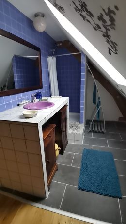 Salle de bain douche / partagée