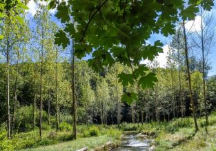 Espace Naturel Sensible de l’Etang de Côte-Manin