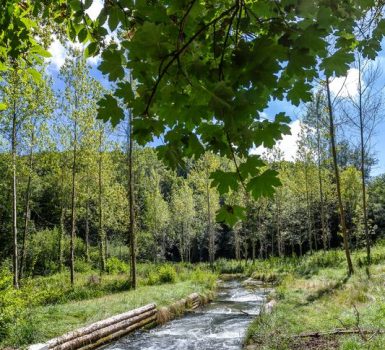 Espace Naturel Sensible de l’Etang de Côte-Manin