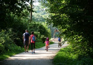 Chemin des marais de la Véronnière et du Courbon