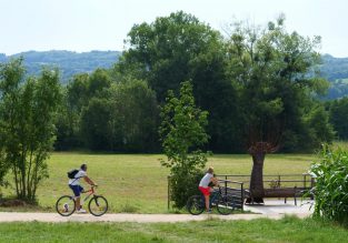 Chemin des marais de la Véronnière et du Courbon