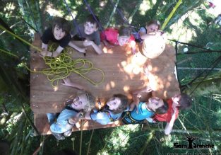 Anniversaire dans les arbres avec Sam’Branche