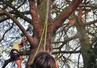 Anniversaire dans les arbres avec Sam’Branche