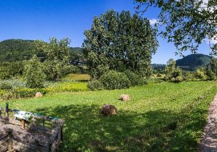 Espace naturel sensible du Marais du Val d’Ainan