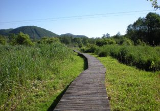 Espace naturel sensible du Marais du Val d’Ainan