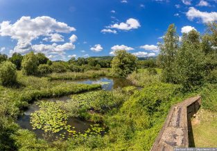 Espace Naturel Sensible de la Boucle des Moïles et de l’étang de Mai