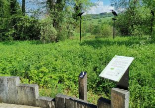 Espace Naturel Sensible des Marais de la Véronnière et du Courbon
