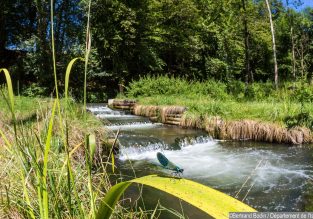 Espace Naturel Sensible de l’Etang de Côte-Manin
