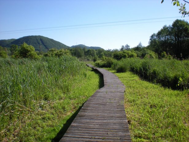 Marshes of Chirens