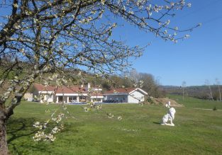 Chambres d’hôtes : l’Écrin de Verdure
