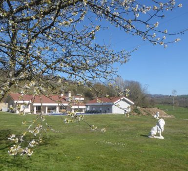 Chambres d’hôtes : l’Écrin de Verdure