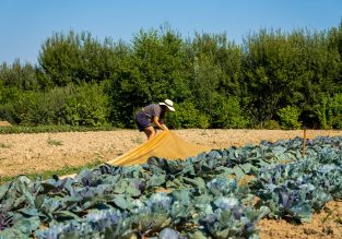 Vente de légumes, de fleurs et d’arbres aux Jardins de la Solidarité