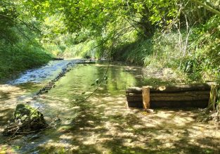 Vente de légumes, de fleurs et d’arbres aux Jardins de la Solidarité