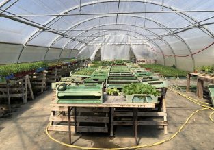 Vente de légumes, de fleurs et d’arbres aux Jardins de la Solidarité