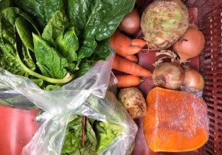 Vente de légumes, de fleurs et d’arbres aux Jardins de la Solidarité