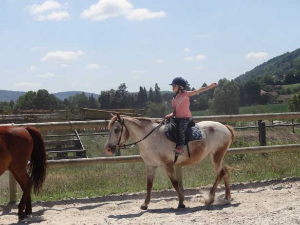 Blue Lake Stables