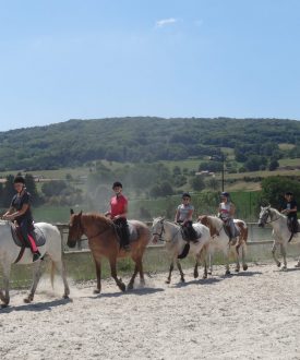 Les Écuries du Lac Bleu