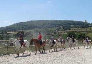 Les Écuries du Lac Bleu