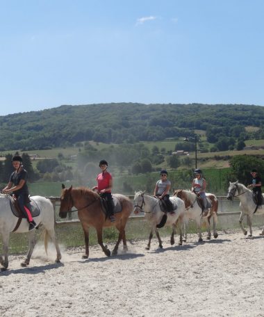 Les Écuries du Lac Bleu